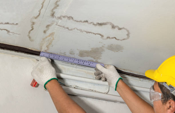 Reliable Water Removal contractor in Marine City, MI by Water Damage Irwin